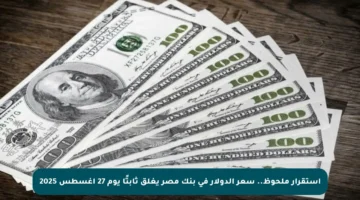 استقرار ملحوظ.. سعر الدولار في بنك مصر يغلق ثابتًا يوم 27 أغسطس 2025